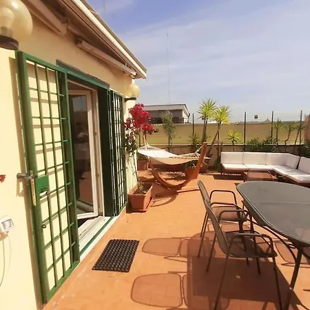 Amazing With Terrace *